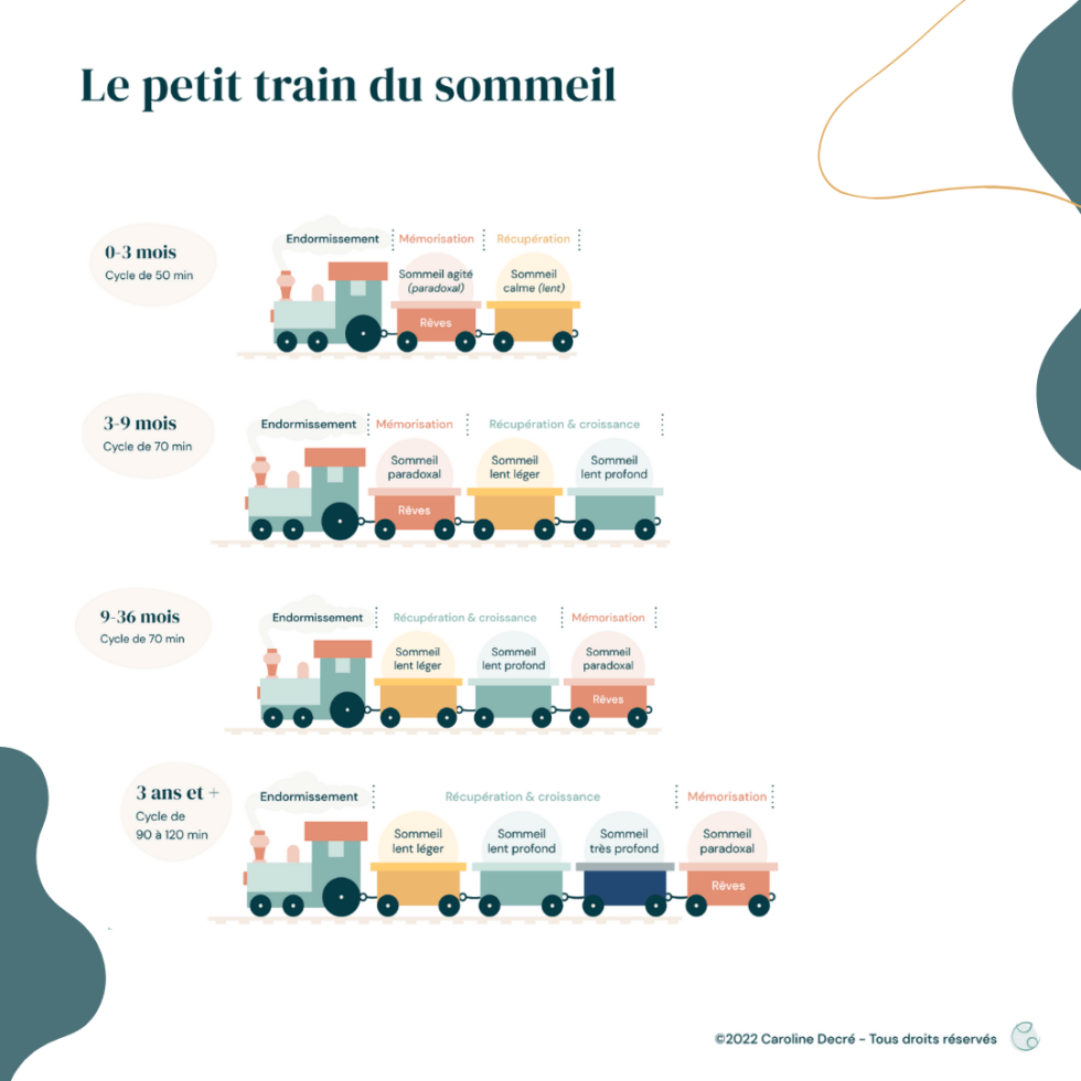 Le Petit Train Du Sommeil B B Les Diff Rents Cycles De L Enfant