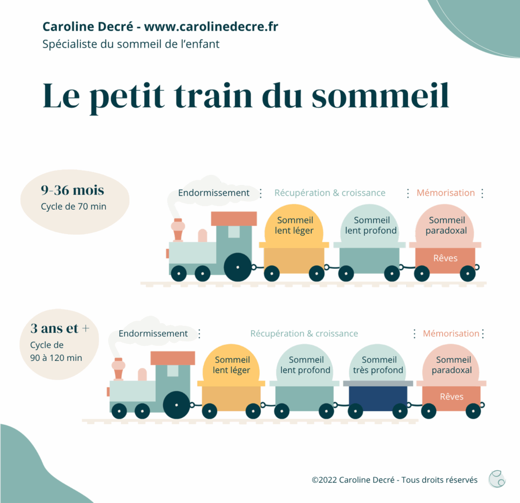 Petit train du sommeil selon les âges